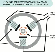 Schemat bezszczotkowego silnika prądu stałego: cewki, magnes wzbudzający i złącza zasilające tworzą mechanizm obrotowy.