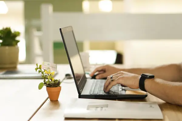 Wolne wprowadzenie nowych wyników i lepsze wrażenia z graczy z kasyn online